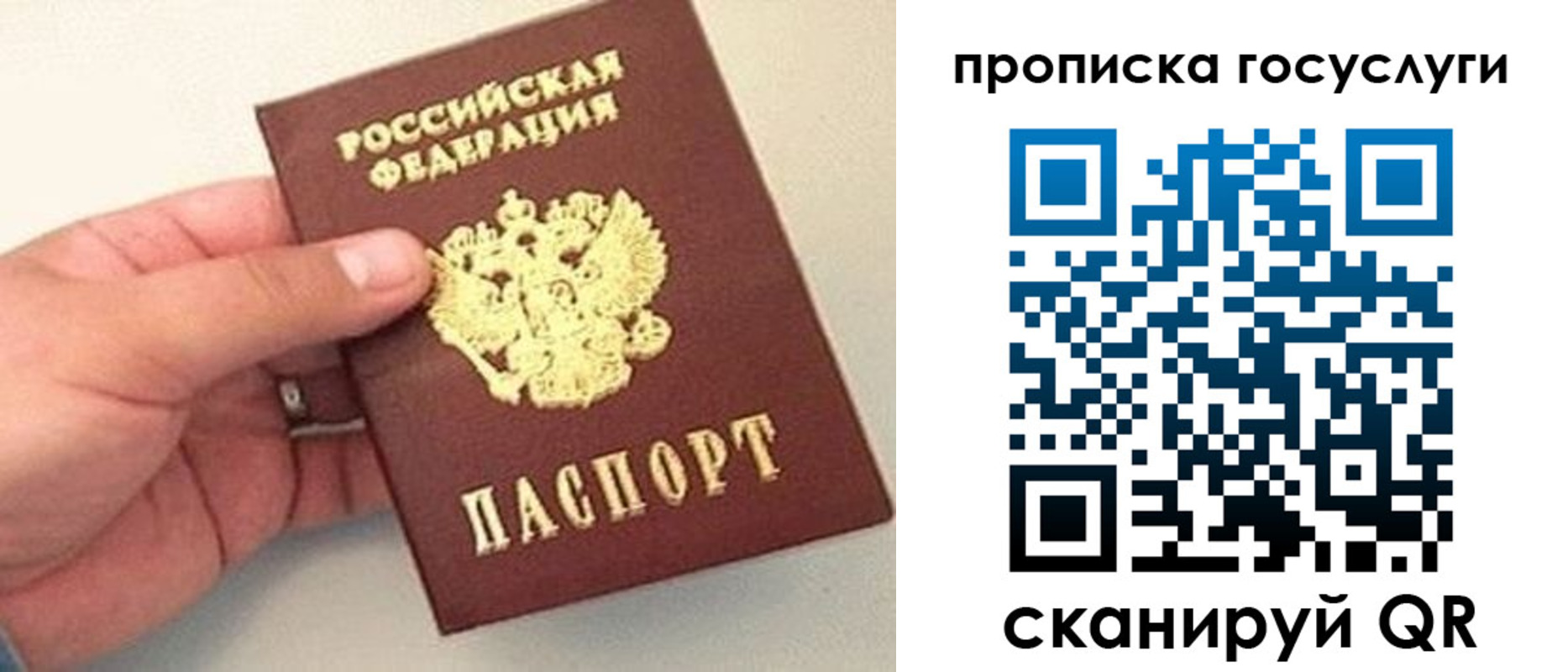где прописаться в Черноголовке