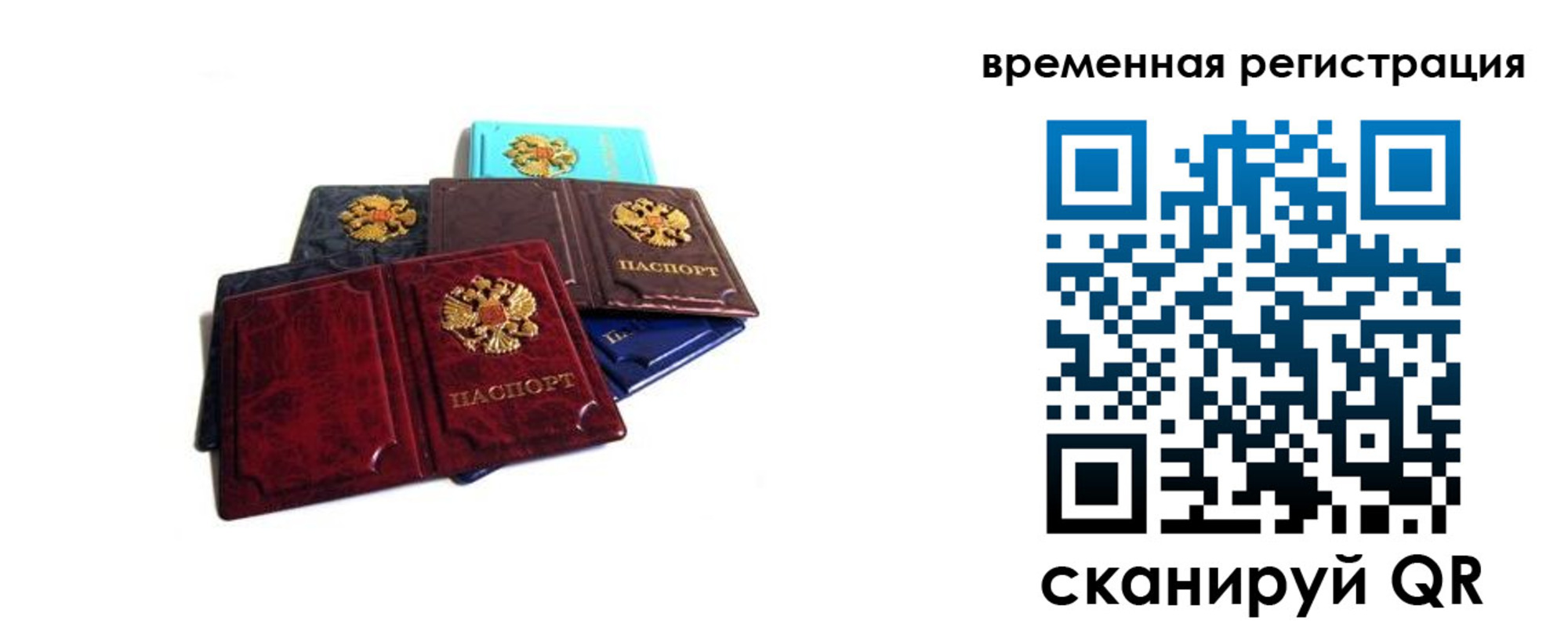 прописка для работы в Черноголовке